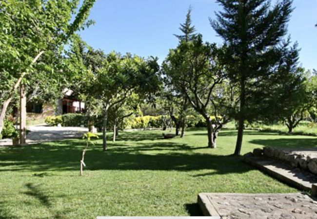 Villa in Pollensa / Pollença - Hort 3 Cames Villa in Pollensa / Pollença - Hort 3 Cames