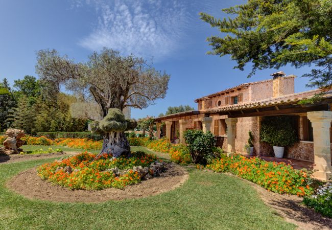 Villa in Alcúdia - Ses Contesas Villa in Alcúdia - Ses Contesas