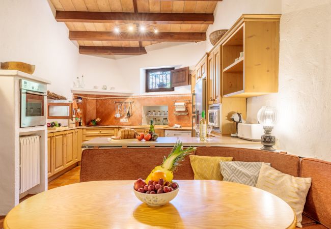 Villa in Port de Pollença - Villa Papalaia Villa in Port de Pollença - Villa Papalaia