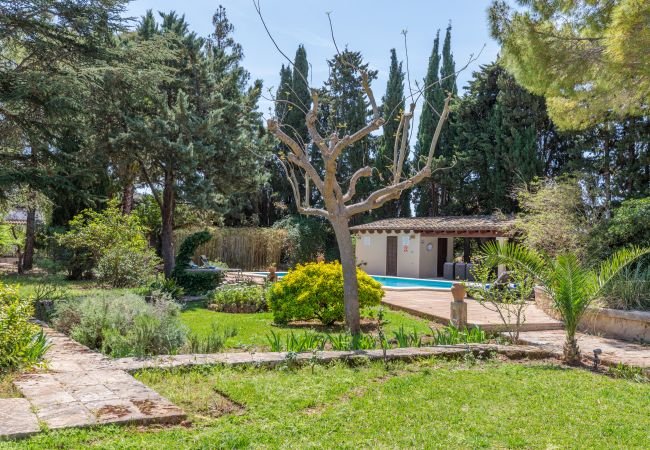 Villa in Port de Pollença - Villa Papalaia Villa in Port de Pollença - Villa Papalaia
