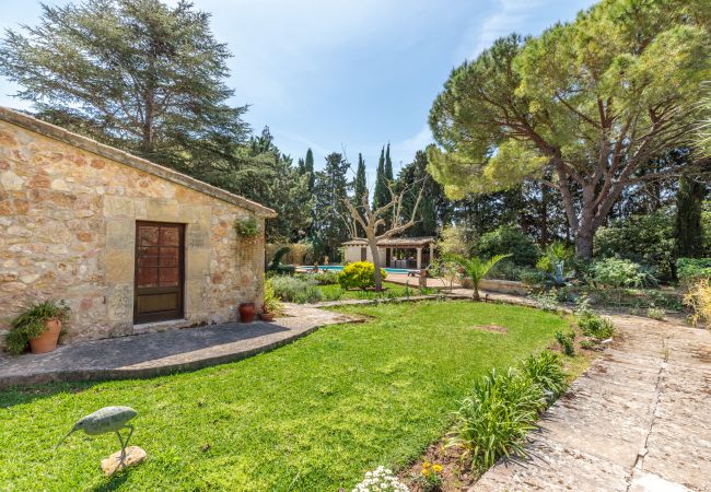 Villa in Port de Pollença - Villa Papalaia Villa in Port de Pollença - Villa Papalaia