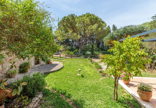 Villa in Port de Pollença - Villa Papalaia Villa in Port de Pollença - Villa Papalaia