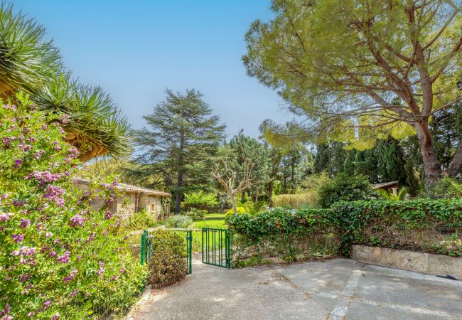 Villa in Port de Pollença - Villa Papalaia Villa in Port de Pollença - Villa Papalaia
