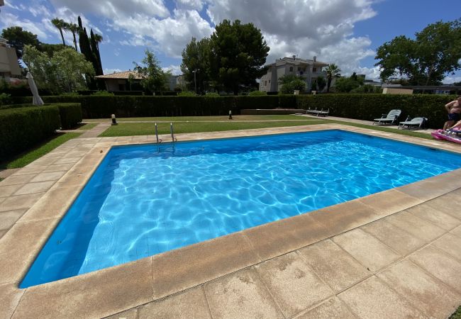 Ferienwohnung in Port de Pollença - Xiprer, Apartment Ferienwohnung in Port de Pollença - Xiprer, Apartment