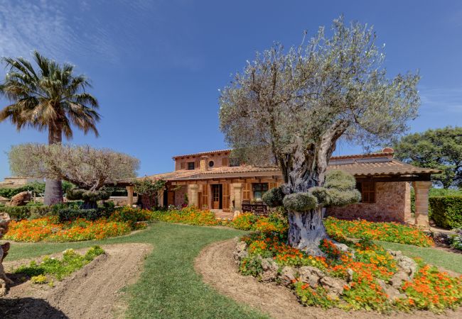 Villa en Alcúdia - Ses Contesas Villa en Alcúdia - Ses Contesas