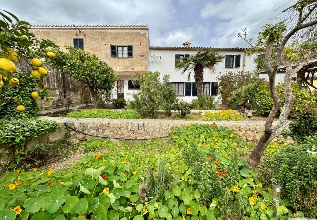Villa en Pollensa - Garroverar Villa en Pollensa - Garroverar