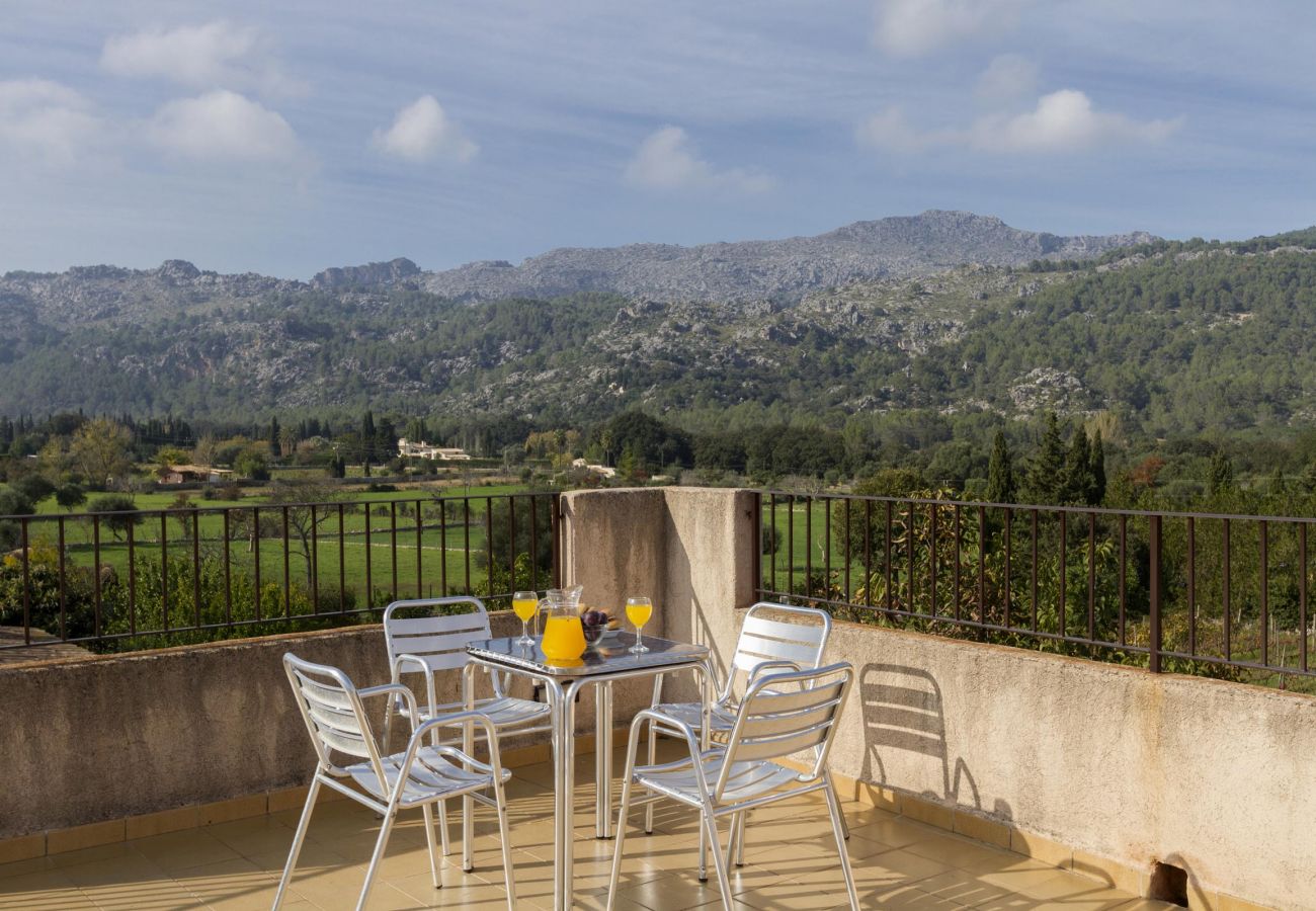 Villa en Pollensa / Pollença - Plana Morro