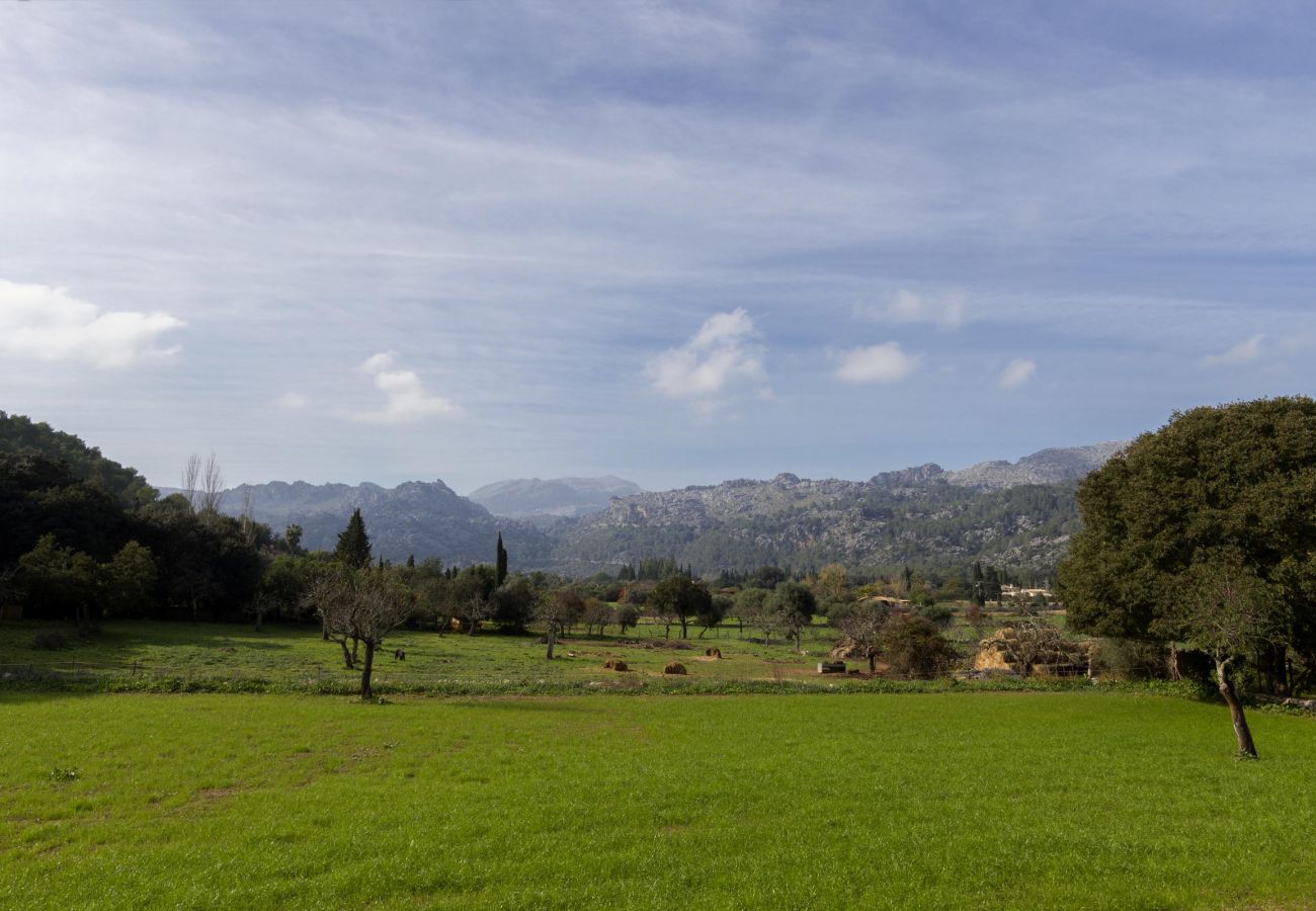 Villa en Pollensa / Pollença - Plana Morro