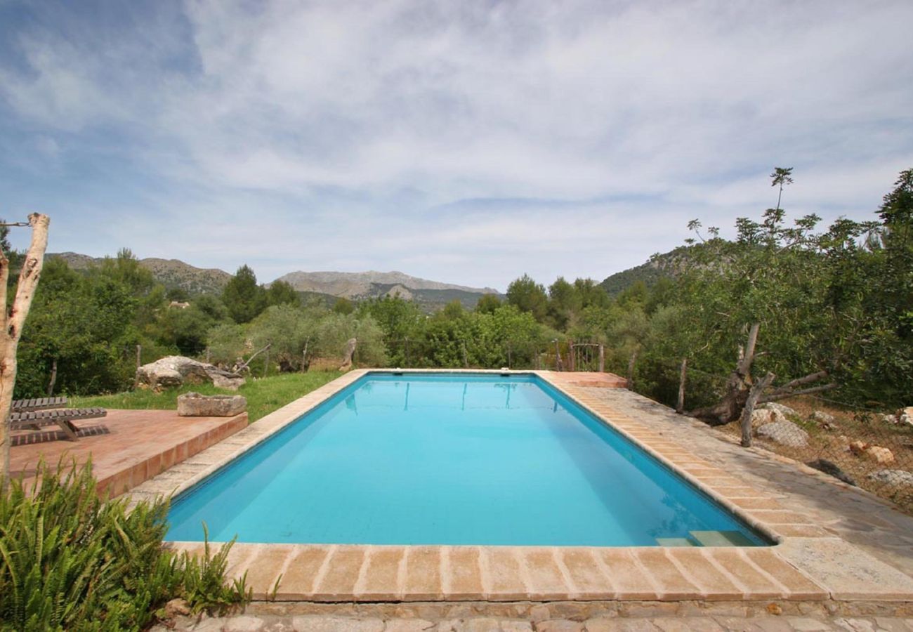 Villa en Pollensa / Pollença - Guillo