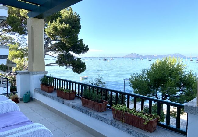 Apartment in Pollensa / Pollença - Kika Apartment Apartment in Pollensa / Pollença - Kika Apartment