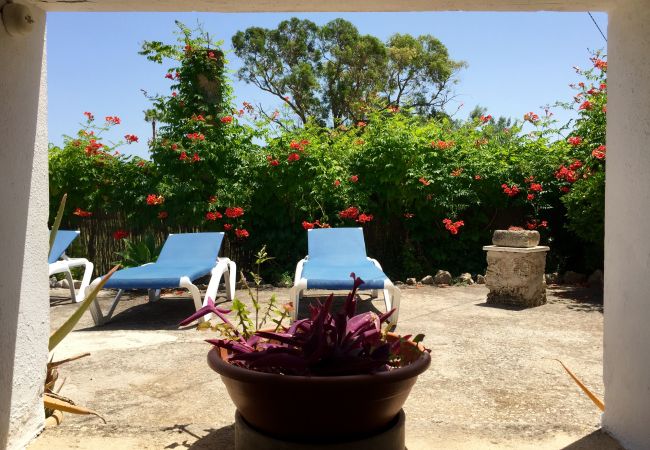 Villa in Pollensa / Pollença - La Font Villa in Pollensa / Pollença - La Font