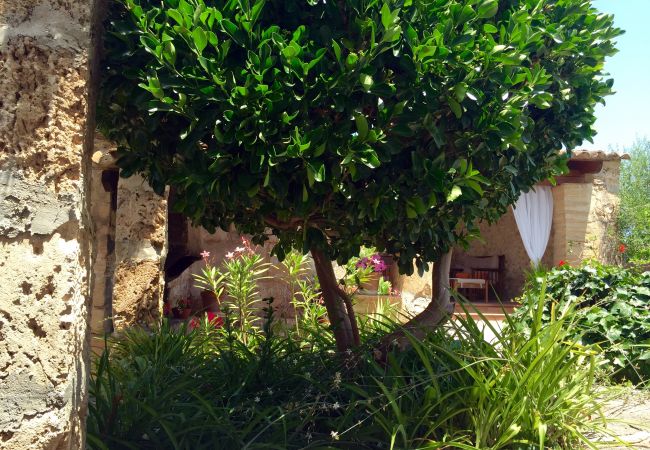 Villa in Pollensa / Pollença - La Font Villa in Pollensa / Pollença - La Font