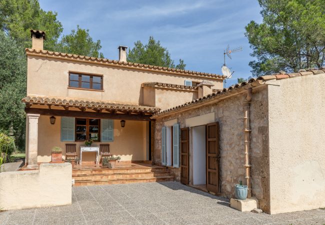 Villa in Pollensa / Pollença - Villa Mireia Villa in Pollensa / Pollença - Villa Mireia
