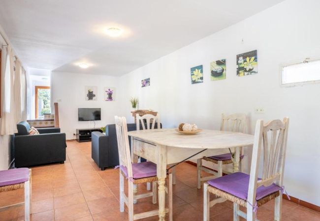 Villa in Pollensa / Pollença - Palmera II (Cuixac de na Jero) Villa in Pollensa / Pollença - Palmera II (Cuixac de na Jero)