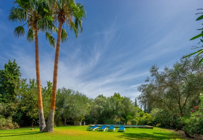 Villa in Pollensa / Pollença - Can Ferrer Villa in Pollensa / Pollença - Can Ferrer