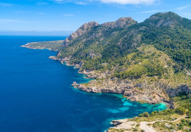 Apartment in Puerto Pollensa - Voltor 1A Apartment in Puerto Pollensa - Voltor 1A