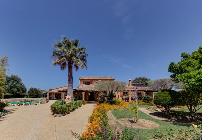 Villa in Alcúdia - Ses Contesas Villa in Alcúdia - Ses Contesas