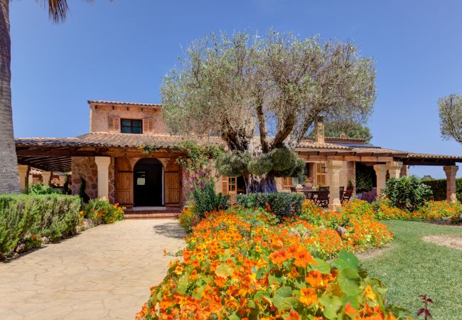Villa in Alcúdia - Ses Contesas Villa in Alcúdia - Ses Contesas