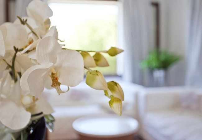 Villa in Pollensa / Pollença - Can Seguinot Villa in Pollensa / Pollença - Can Seguinot