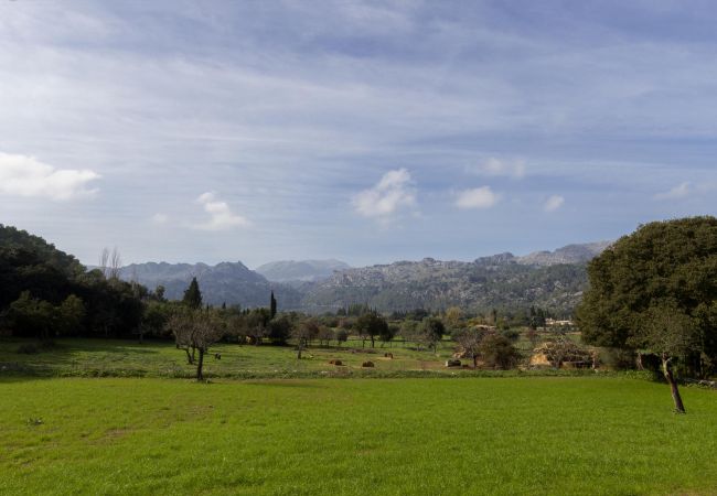 Villa in Pollensa / Pollença - Plana Morro Villa in Pollensa / Pollença - Plana Morro