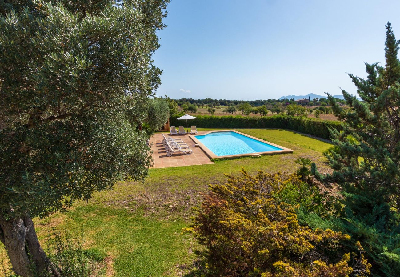 Villa in Pollensa / Pollença - Hostalet
