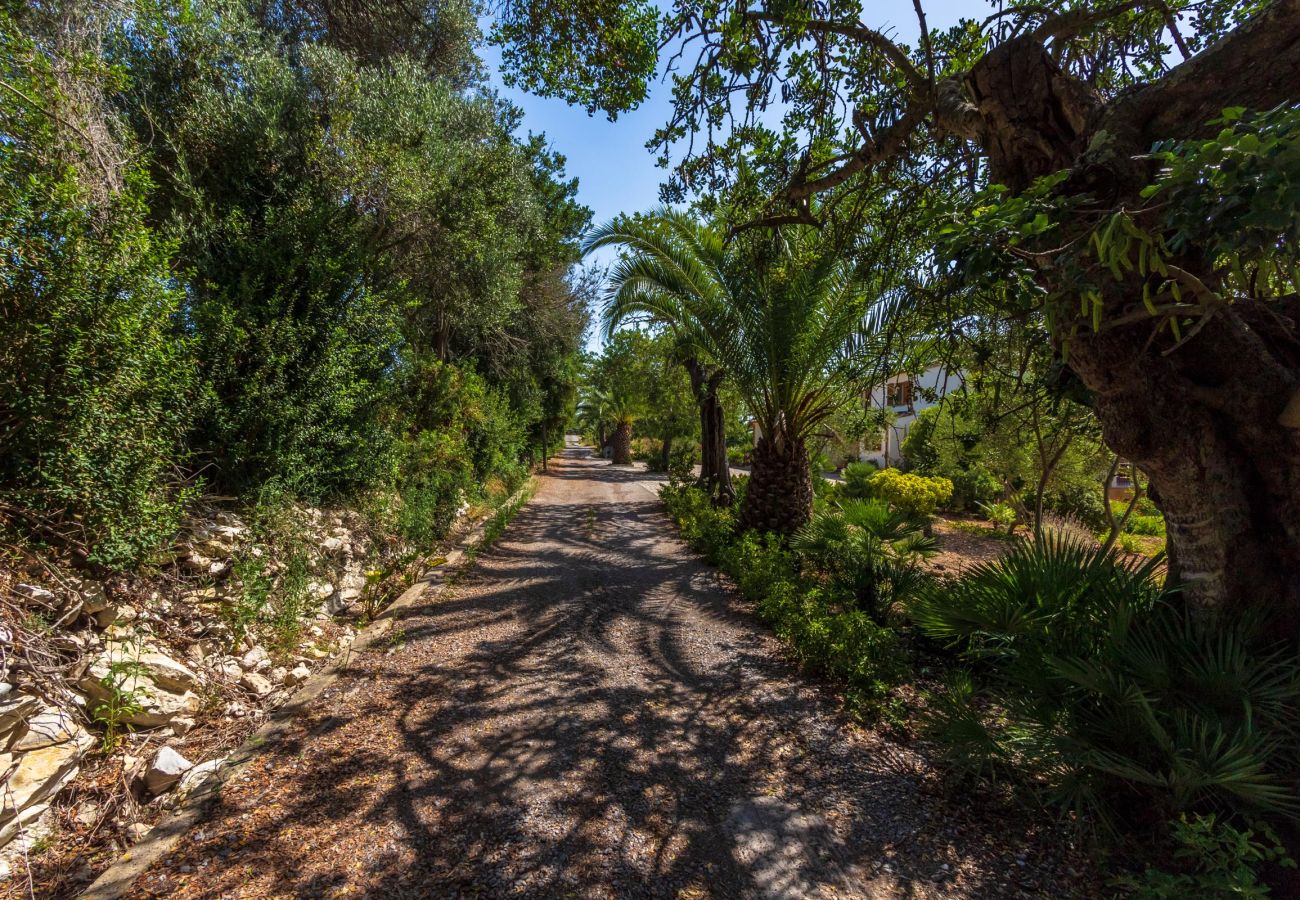 Villa in Pollensa / Pollença - Hostalet
